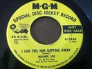 MAMIE LEE - I CAN FEEL HIM SLIPPING AWAY - VERY RARE NORTHERN SOUL 45 DJ ORIG.