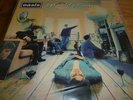 OASIS Definately Maybe Double Vinyl LP First Press CRELP169 Gatefold Sleeve