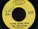 Northern Soul 45 THE VIBRATIONS on EPIC Cause Your Mine