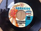 Soul In-Pressions 70's sweet soul funk 45 Girl Don't Worry/Zing on Aquarius EX