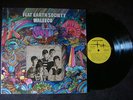 FLAT EARTH SOCIETY- WALLECO - orig 67 East Coast Teen Garage Fuzz PSYCH