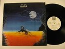 DOUG LUCAS Niara SHADYBROOK WLP NM BREAKS
