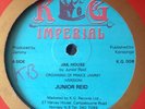 Junior Reid Jail House Killer Roots 12