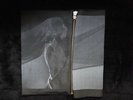 Zola Jesus - Conatus LP Lim. Ed. of 300 - out of print New