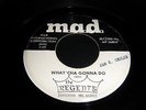 THE REGENTS - WHATTCA GONNA DO - MAD