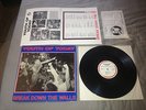 Youth Of Today Break Down The Walls LP RARE 1ST PRESS Judge Gorilla Biscuits SXE