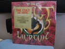 The Cult 12