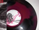 EVERY TIME I DIE 