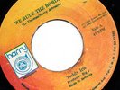 '86 HARRY J DIGI KILLER REGGAE 45 TEDDY IRIE WE RULE THE BORDER ?