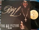 BIG L Big Picture LP Rap D.I.T.C. Lord Finesse Lifestylez ov da Poor & Dangerous