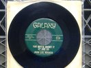 JOHN LEE HOOKER - You Gotta Shake It Up & Go - 7