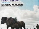 BRUNO WALTER / Beethoven Symphony No.6 Pastorale / Columbia 6-EYE MS 6012 TAS LP