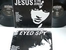 TEENAGE JESUS & THE JERKS LYDIA LUNCH 2 RECORD SET +PHOTOS RARE LP POST PUNK NM