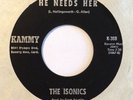 The Isonics 
