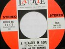DION & THE BELMONTS 45 A Teenager In Love LAURIE Doo Wop VG++ Stereo #C129