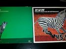 Hum You'd Prefer an Astronaut LP -  Original Pressing and Print