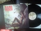 Rare Bird, Sympathy, Original UK LP (CS 4)