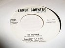 Samantha Lee I'm Minnie & You Told Me That You Loved Me Promo Northern Soul 45