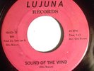 SWEET NORTHERN SOUL 45-OTIS BROWN-SOUND OF THE WIND /FIND SOMEBODY NEW on LUJUNA