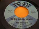 EX Hear Rare Michigan Garage 45: The Just Luv on M-S - Valley of Hate & lovin'