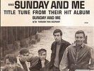 Rare rock 45 & picture sleeve Jay & The Americans Sunday & Me 1965 promo