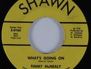 Funk Soul 45 TIMMY MCNEALY What's Going On SHAWN HEAR VG++