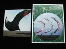 PINK FLOYD High Hopes UK 45 P/S  Clear Vinyl 1994+ Record Store Promo Poster NM