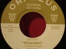 ARCESIA Reaching RARE 1979 ORPHEUS WEIRD psych OUTSIDER 45 Pictures In My Window