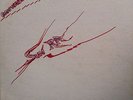 Sun Ra - Omniverse w/ hand drawn cover & label - private press