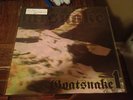 Goatsnake 1 - LP 1st press smokey grey swirl vinyl mans ruin kyuss earthlings