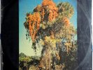 WE ALL TOGETHER VERY RARE PSYCH PROG FLOWER POP LP FROM PERU EX HEAR SAMPLER