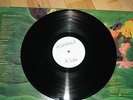 AUDIENCE FRIENDS FRIENDS FRIEND LP CHARISMA RARE WHITE LABEL TEST PRESSING