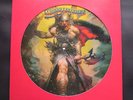 Molly Hatchet  ** RARE DEMONSTRATION ONLY PICTURE DISC ** FLIRTIN WITH DISASTER