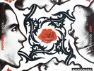 RED HOT CHILI PEPPERS : BLOOD SUGAR SEX MAGIK 2xLP VINYL LP RHCP rage Morello