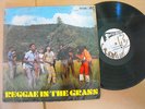 Reggae in the Grass /  Studio one  /  LP