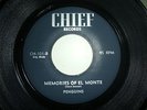 RARE DOO-WOP 45. FRANK ZAPPA-PENGUINS-MEMORIES OF EL MONTE-CHIEF 101