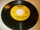 ICE COLD LOVE WONDERFUL TO BE LOVED ORG SWEET SOUL PVT PREES 45 ON TAMMY 1037