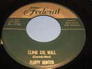 FLUFFY HUNTER ON FEDERAL 12161. CLIMB THE WALL--TO SAY I LOVE YOU (HEAR IT)