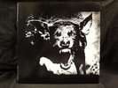 EXECUTE THE Save Your Money JAPAN LP n51125 g.i.s.m. gauze death side comes