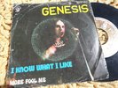 GENESIS I Know What I Like 7'' 45 RARE 1973 PORTUGAL PS UNIQ Portuguese 6073 344