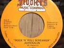ADRENALIN Detroit 70s punk Rock 'N' Roll Screamer/Cumz 'N' Goes   Fiddlers