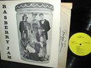 RARE ACID ARCHIVES PRIVATE = RASBERRY JAM = MOODY TEEN FOLKROCK FEMALE HARMONY