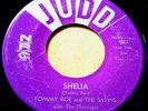 TOMMY ROE & SATINS Sheila 45 Rare Orig 1st Rockabilly Version Judd NM Beauty