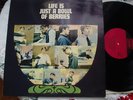 THE ROCKIN BERRIES LIFE IS A BOWL OF BERRIES RARE PYE UK LP GREAT CONDITIONS