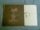 Black Moth Super Rainbow - The Autumn Kaleidoscope Got Changed/Sing To Us 2xLP