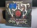 The Cult 12