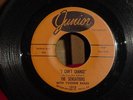 NORTHERN SOUL 45 The Sensations I CAN'T CHANGE Yvonne Baker *HEAR IT