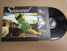 Seaweed ?– Spanaway - RARE ORIG. 1995 OOP LP Never Reissued NM- jawbreaker