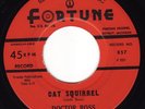 New Breed R&B * DOCTOR ROSS * Cat Squirrel * FORTUNE * Listen MP3  Detroit Blues