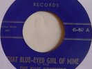 RAREST BLUEGRASS   THE KING BROTHERS on DIXIE 45   VG+   HEAR IT